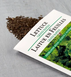 Clearance OSC Lettuce Seed Packets Seed Starting