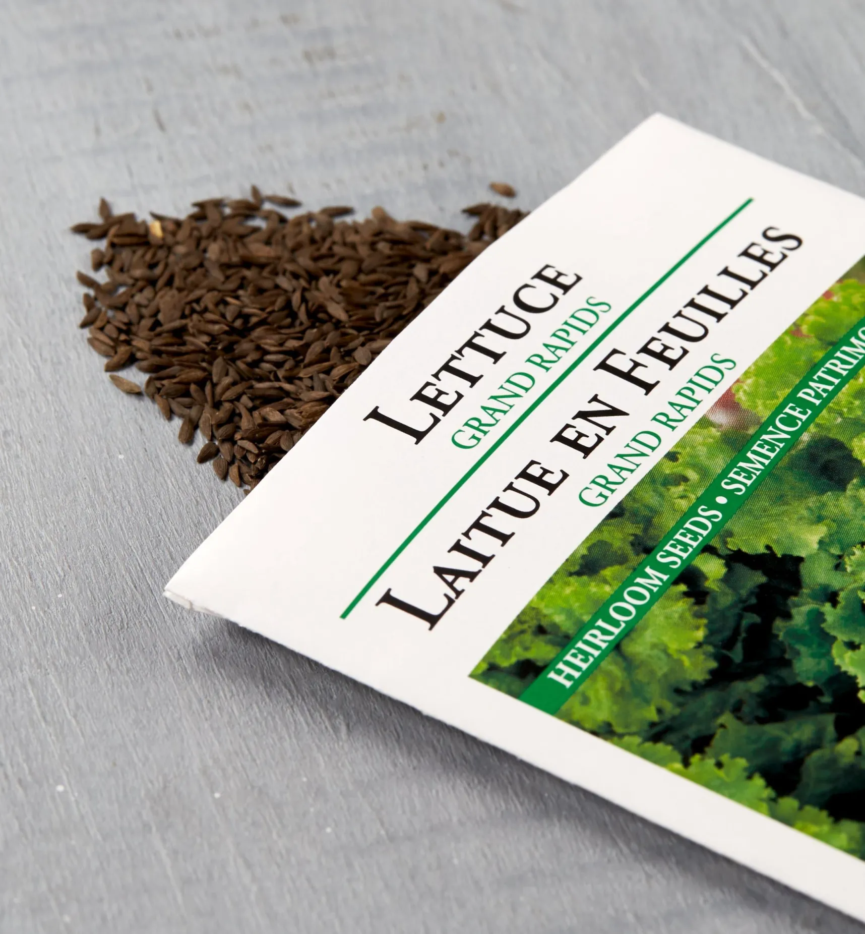 Clearance OSC Lettuce Seed Packets Seed Starting