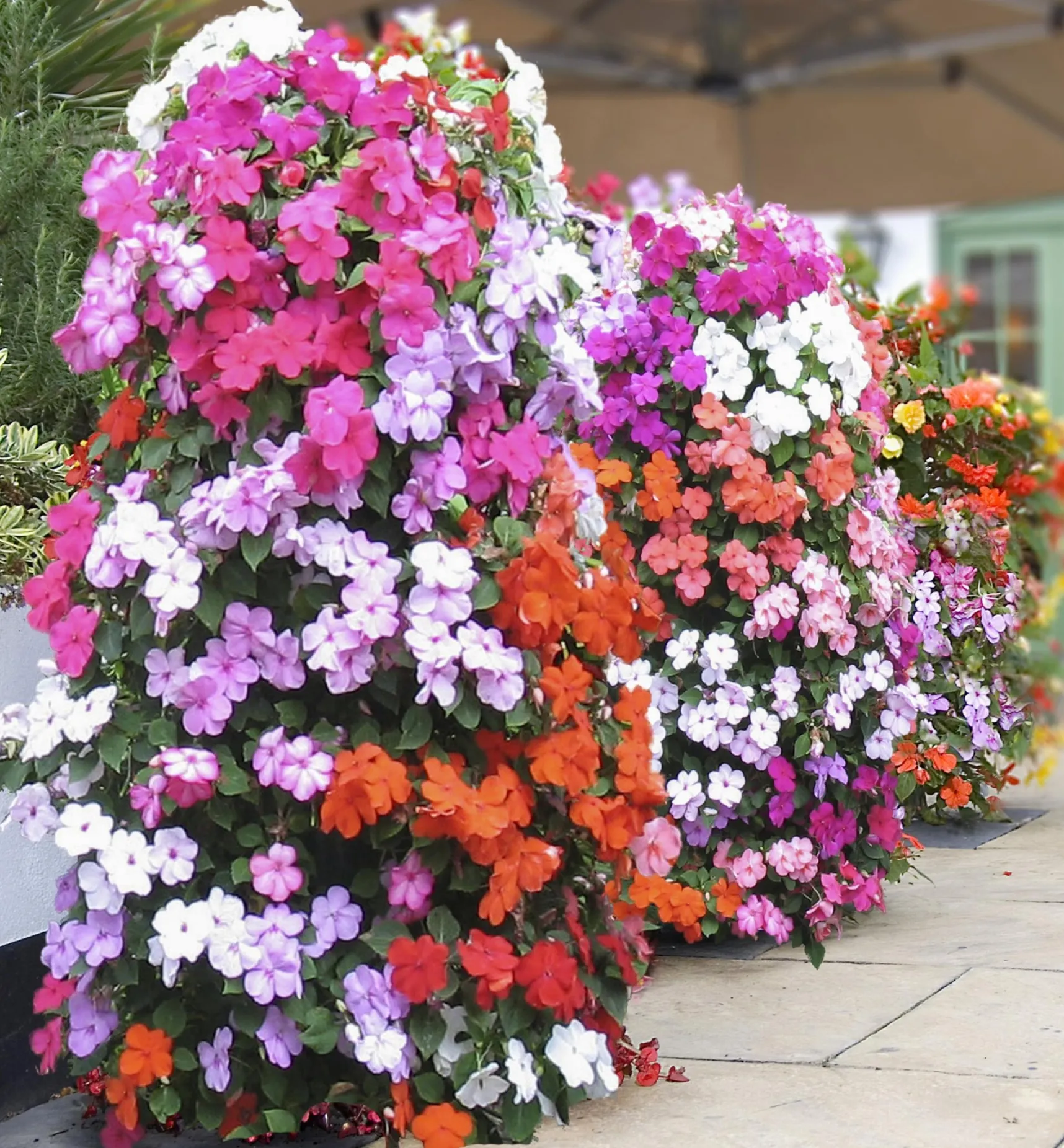 Clearance Pair Of Flower Towers Container Gardening