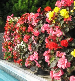 Clearance Pair Of Flower Towers Container Gardening