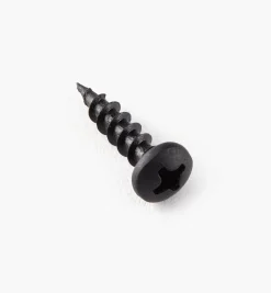Clearance Pan-Head Black Steel Screws Screws