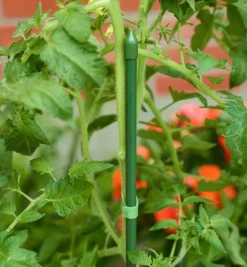 New Permanent Stakes Stakes