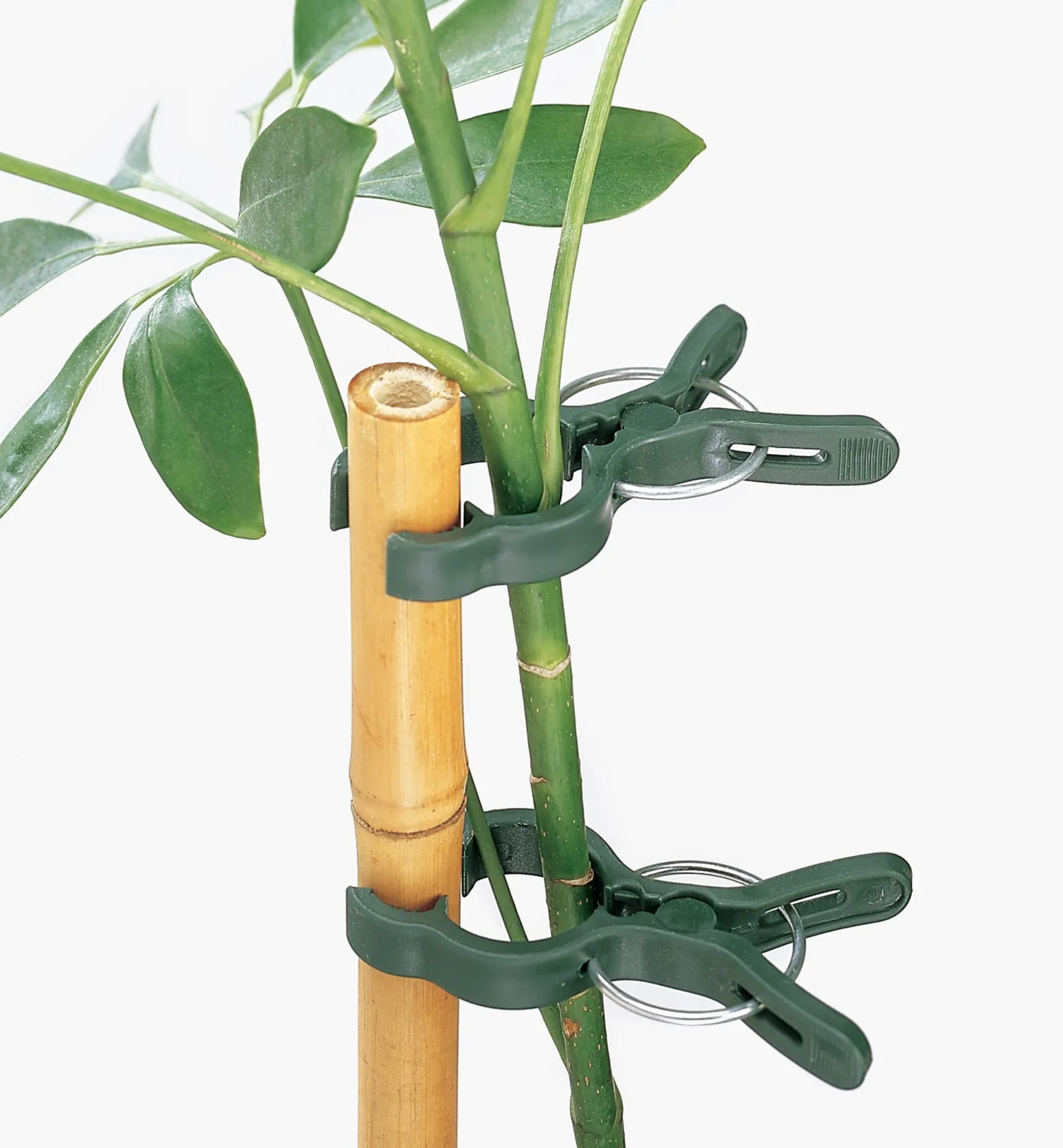 Plant Clips Ties & Clips