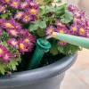 Hot PlantWell Watering Bulb Indoor Gardening