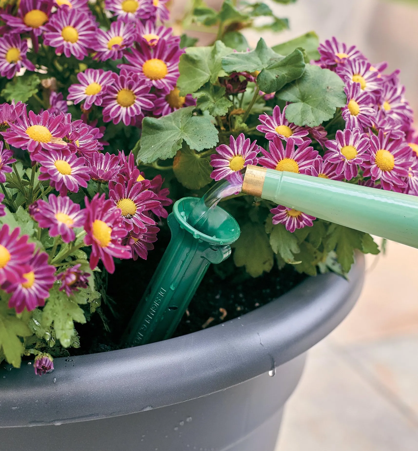 Hot PlantWell Watering Bulb Indoor Gardening
