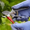 Sale Pocket Pruner Pruners