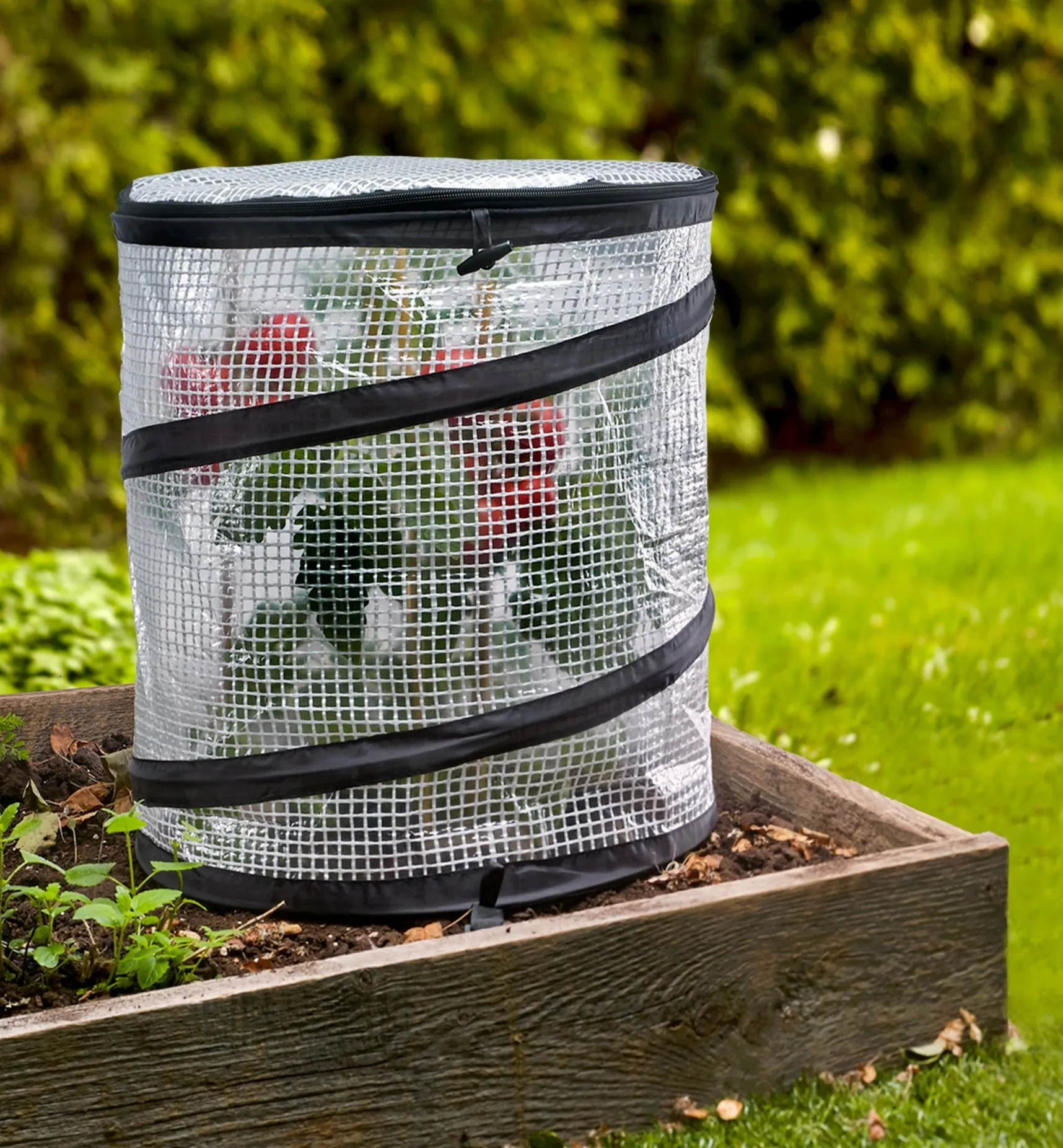 Pop-Up Plant Cover Plant Protection