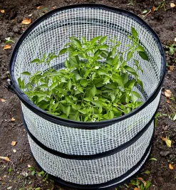Pop-Up Plant Cover Plant Protection