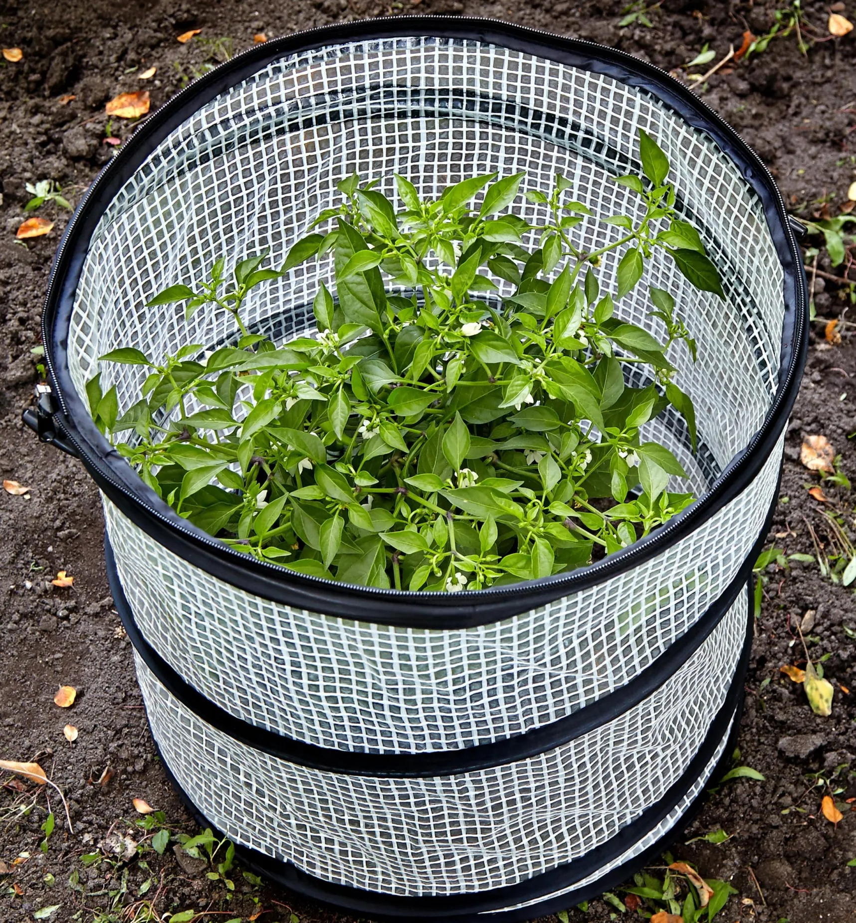 Pop-Up Plant Cover Plant Protection
