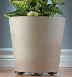 Best Pot Pads Indoor Gardening