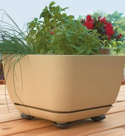 Best Pot Pads Indoor Gardening