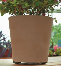 Best Pot Pads Indoor Gardening