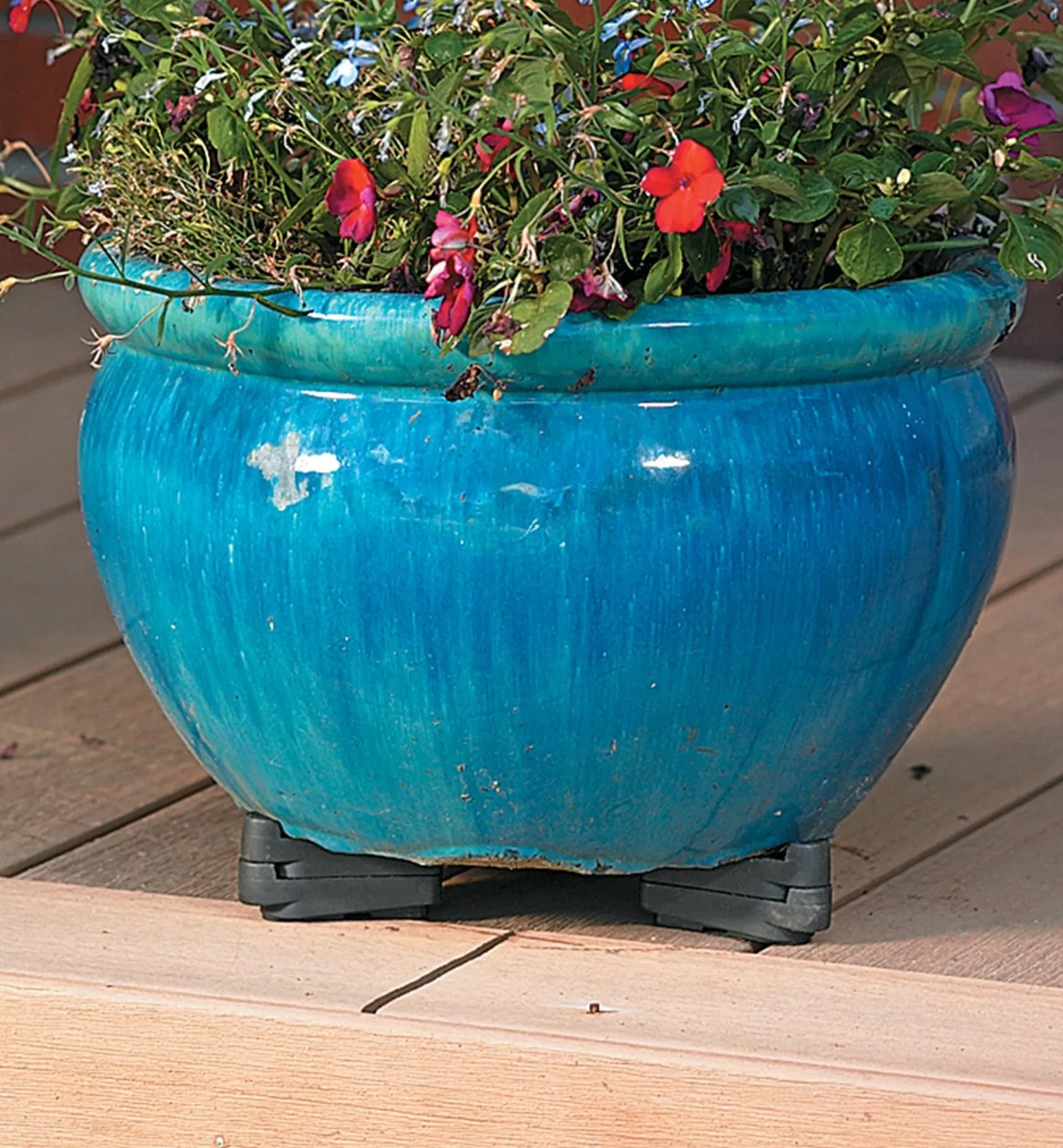Clearance Pot Toes Indoor Gardening