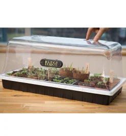Outlet Propagation Dome & Tray Seed Starting