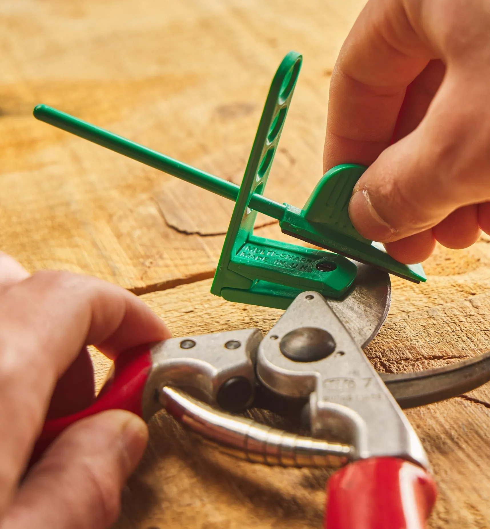 Outlet Pruner Sharpener Tool Maintenance