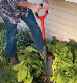 Clearance Radius Root-Cutter Transplant Spade Spades