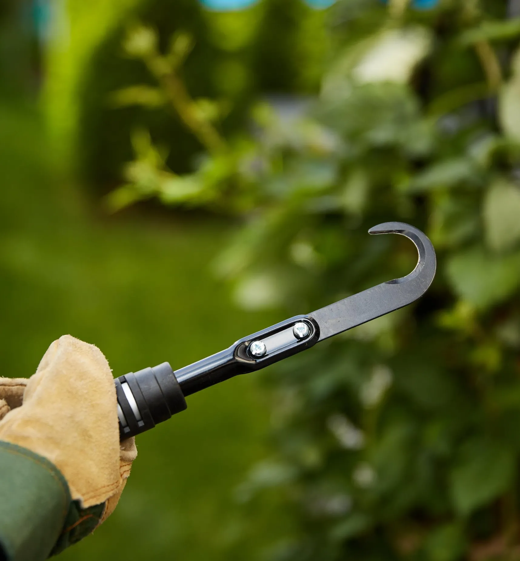 Best Raspberry Cane Cutter Pruners