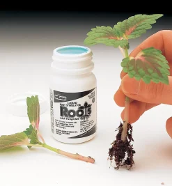 Best Root Stimulator Propagation