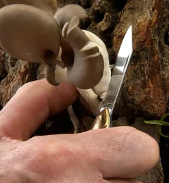 Discount Rybička Pocket Knife Knives