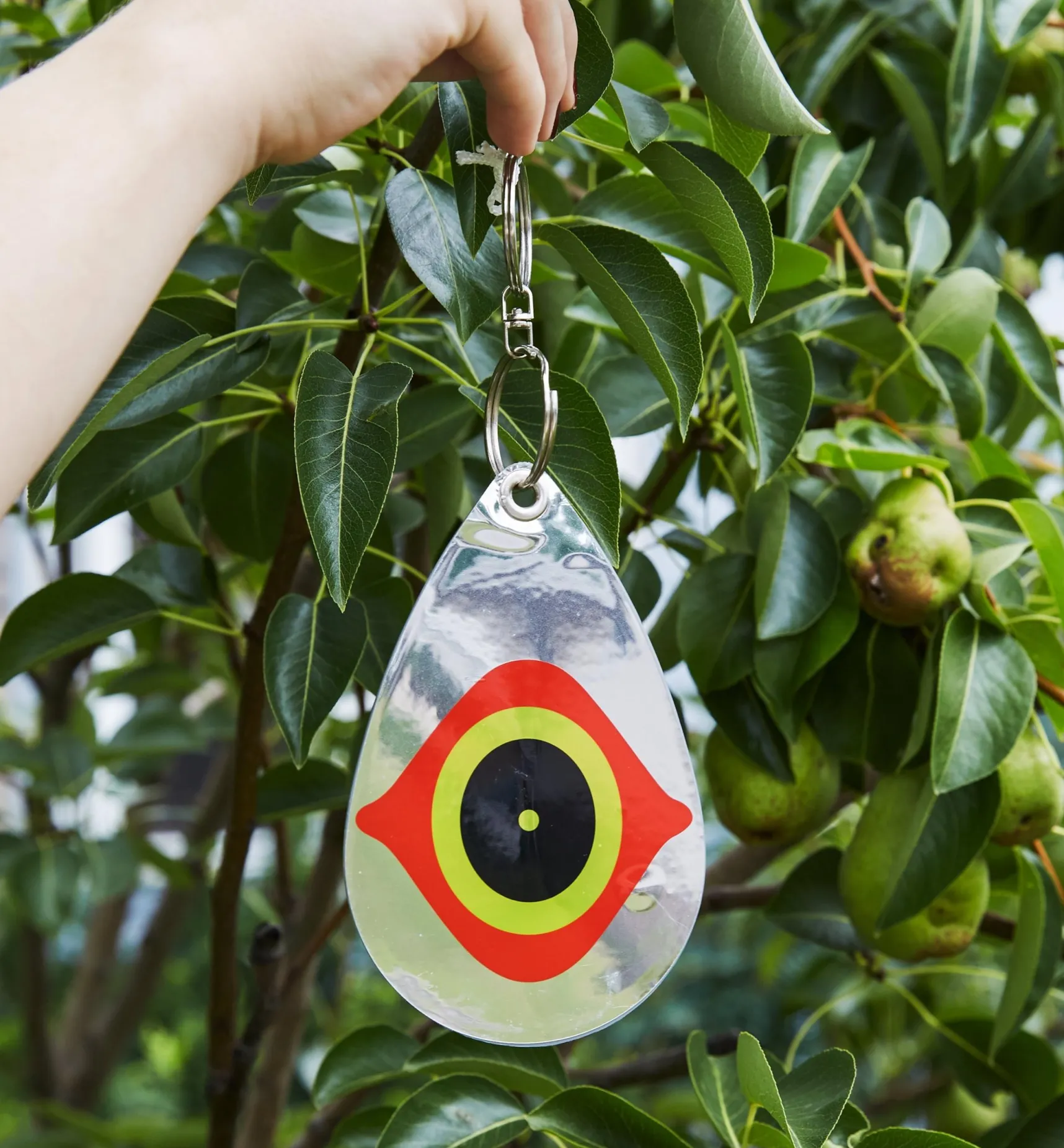Best Scare Eye Bird Deterrents Pest Control