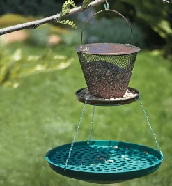 Outlet Seed Saucer Birding