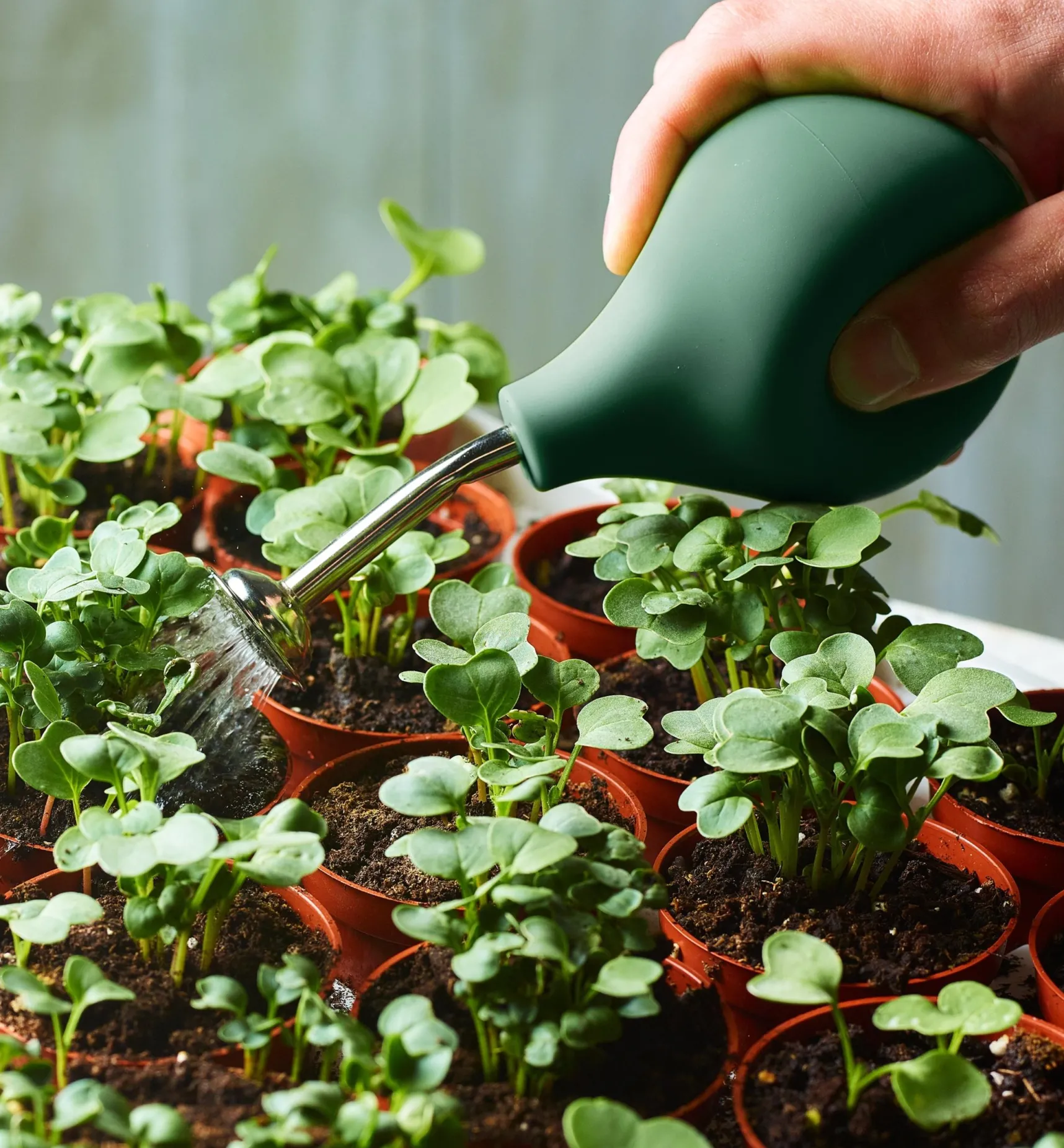 New Seedling Sprayer Indoor Gardening