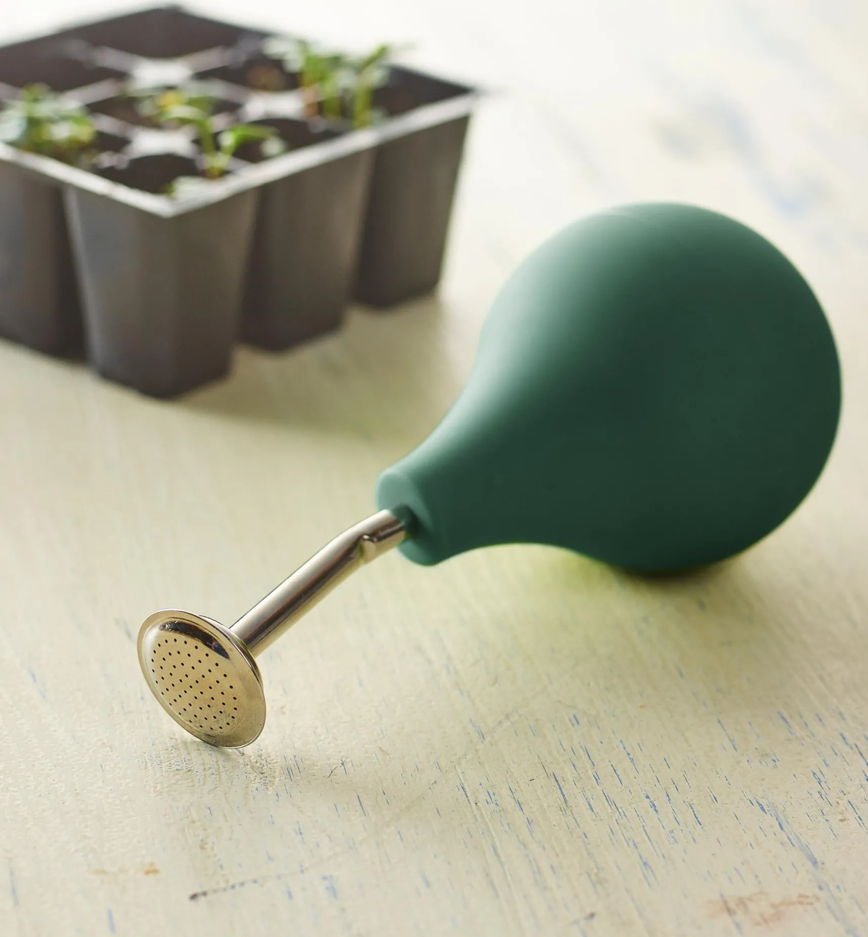 New Seedling Sprayer Indoor Gardening