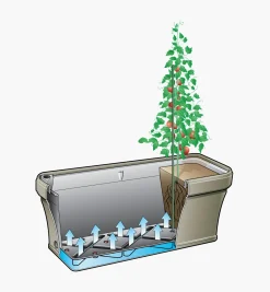 New Self-Watering Planter Container Gardening
