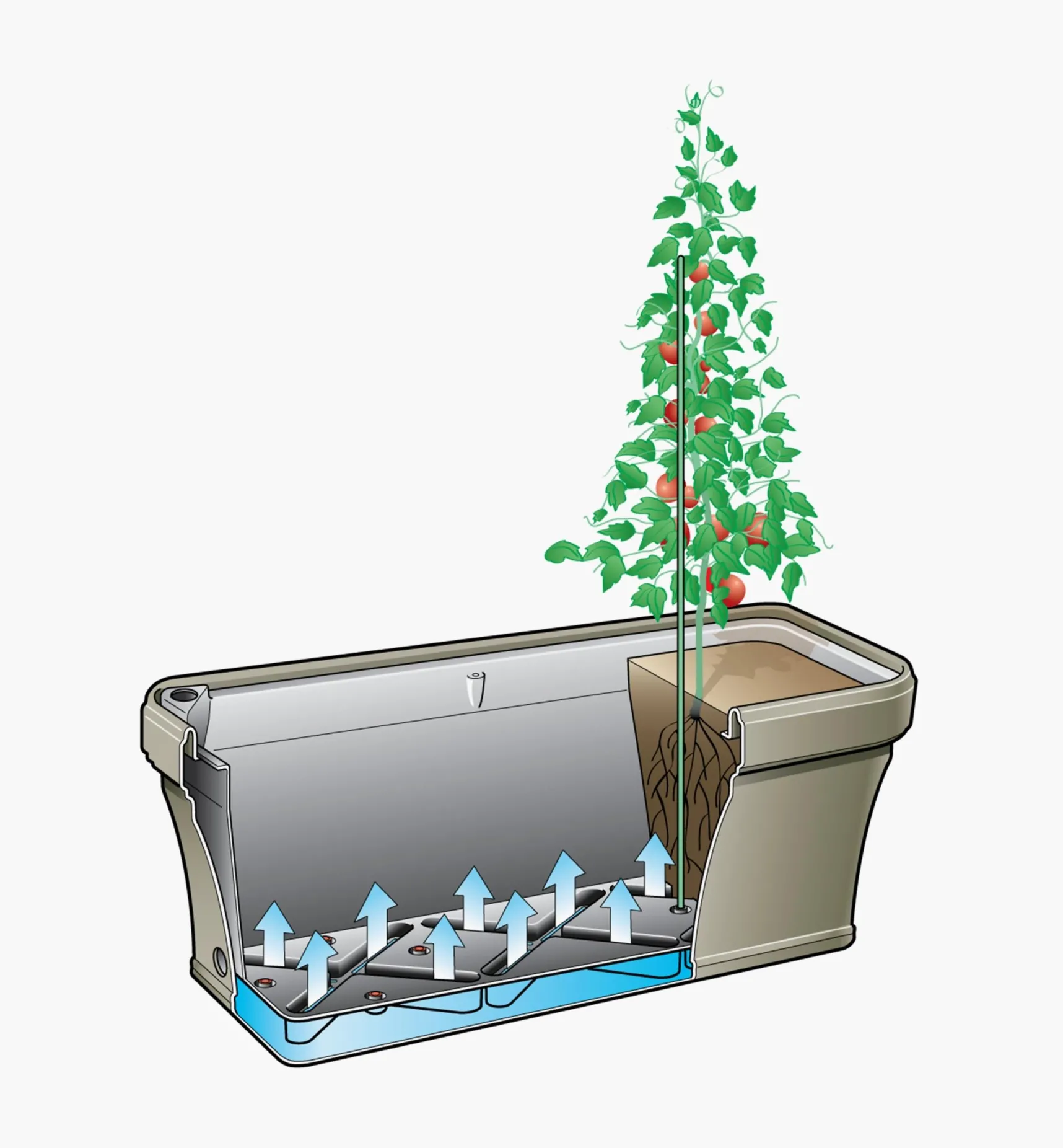 New Self-Watering Planter Container Gardening