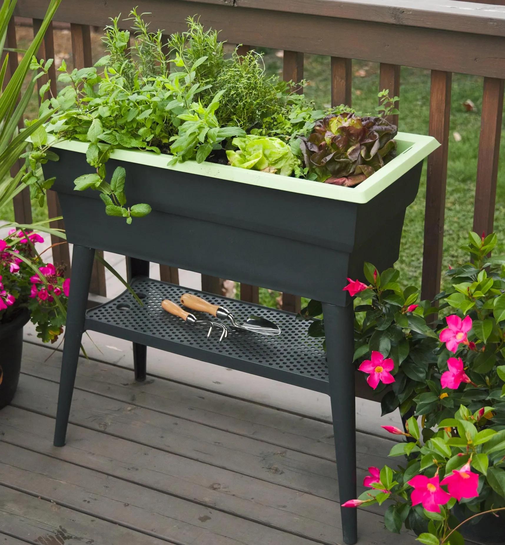 Clearance Self-Watering Raised Planter Container Gardening