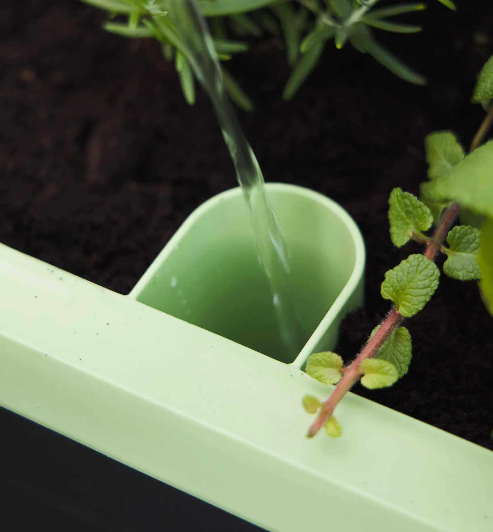 Clearance Self-Watering Raised Planter Container Gardening