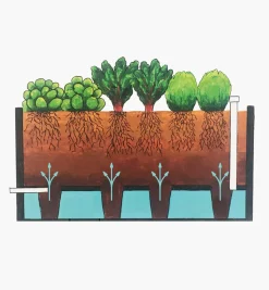 New Self-Watering Raised-Bed Hardware Container Gardening