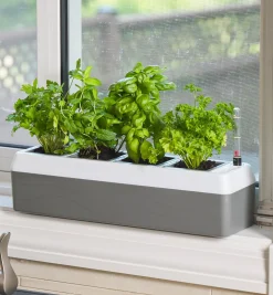 Sale Self-Watering Windowsill Planter Indoor Gardening
