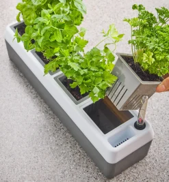 Sale Self-Watering Windowsill Planter Indoor Gardening