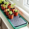 Best Self-Watering Windowsill Tray Indoor Gardening