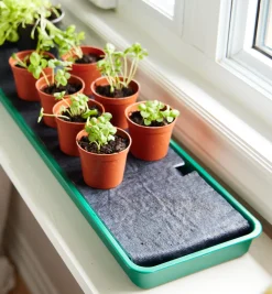 Best Self-Watering Windowsill Tray Indoor Gardening