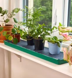 Best Self-Watering Windowsill Tray Indoor Gardening