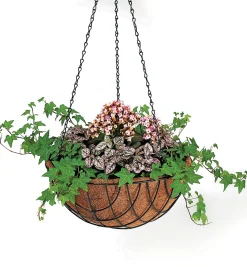 Hot Set Of 3 Hanging Baskets Container Gardening