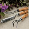 Set Of 3 Container Garden Tools Weeding