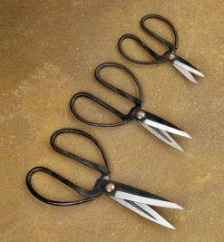 Sale Set Of 3 Traditional Chinese Scissors Scissors