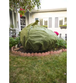 Best Shrub & Potted Plant Protector Plant Protection