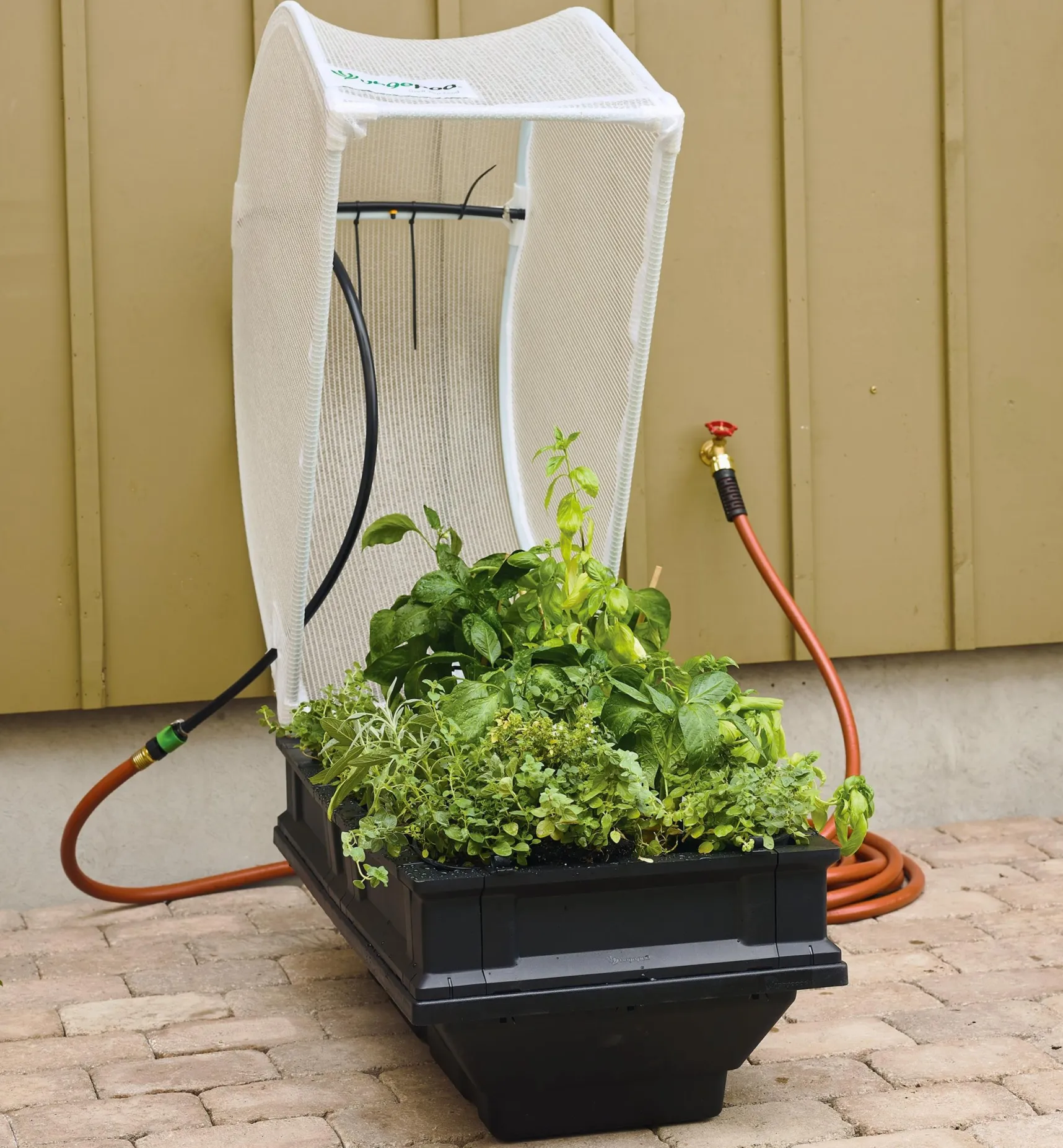 Discount Small Vegepod Container Garden Container Gardening