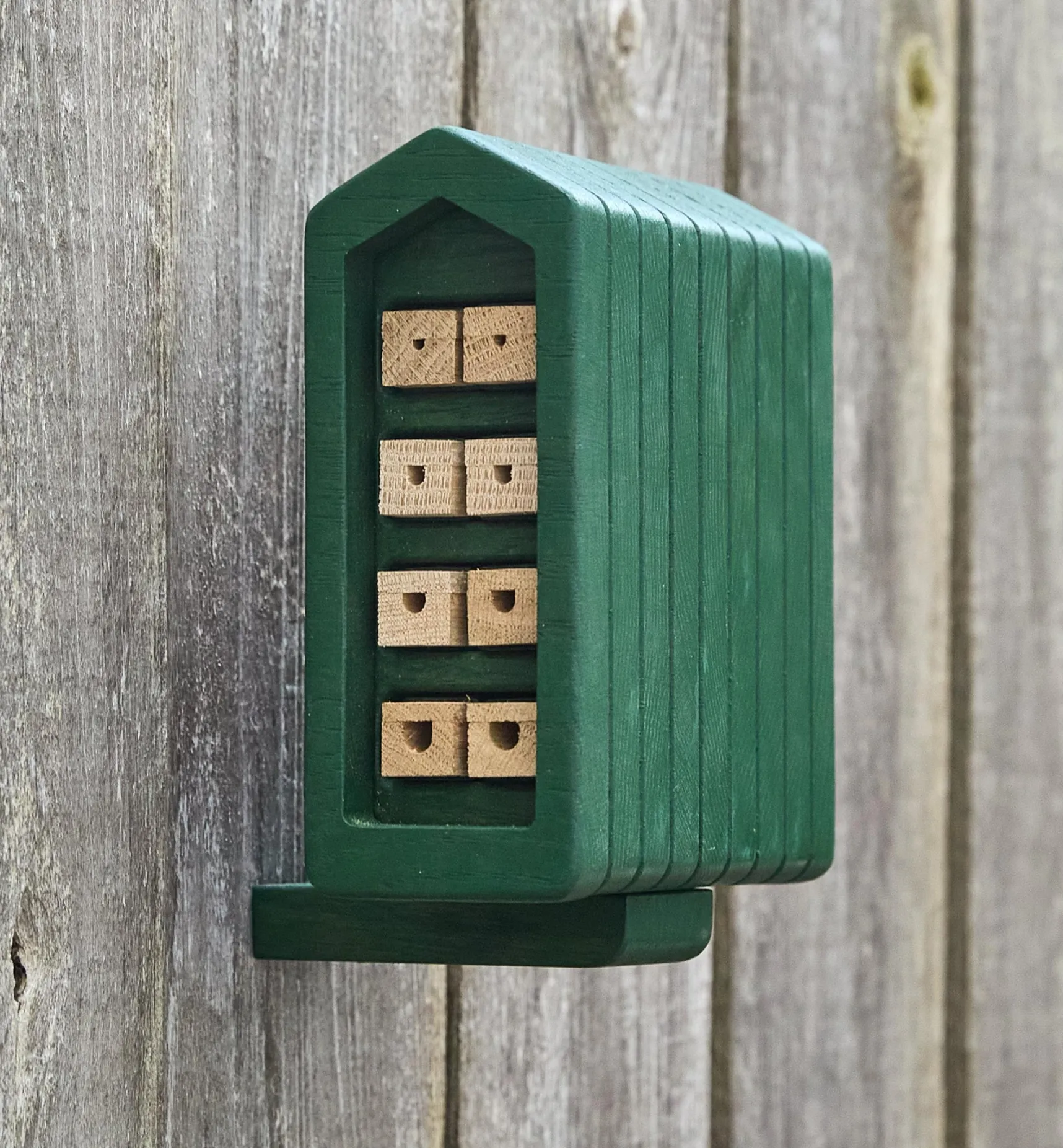 Clearance Solitary Bee Home Pest Control