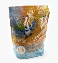 Songbird Seed Birding