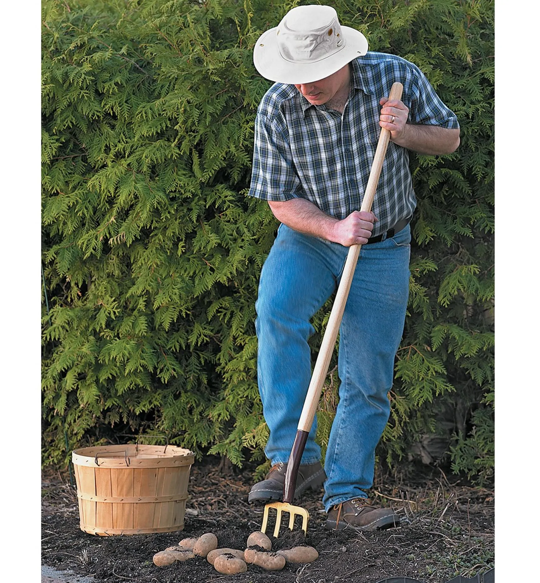 Clearance Spading Fork Harvesting