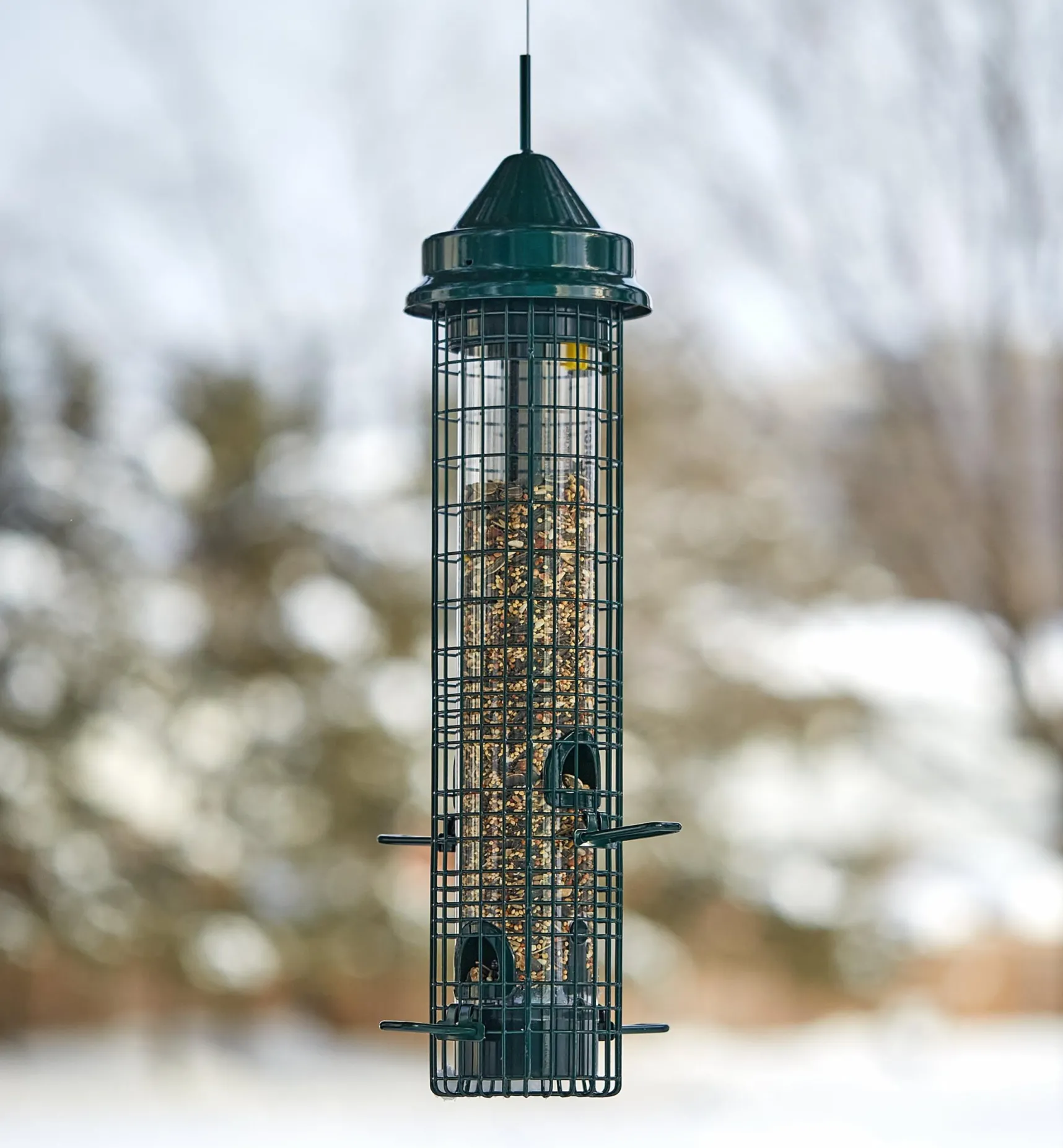 Hot Squirrel Buster Classic Bird Feeder Birding