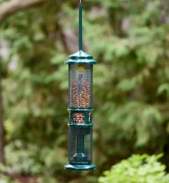 Sale Squirrel Buster Nut Bird Feeder Birding