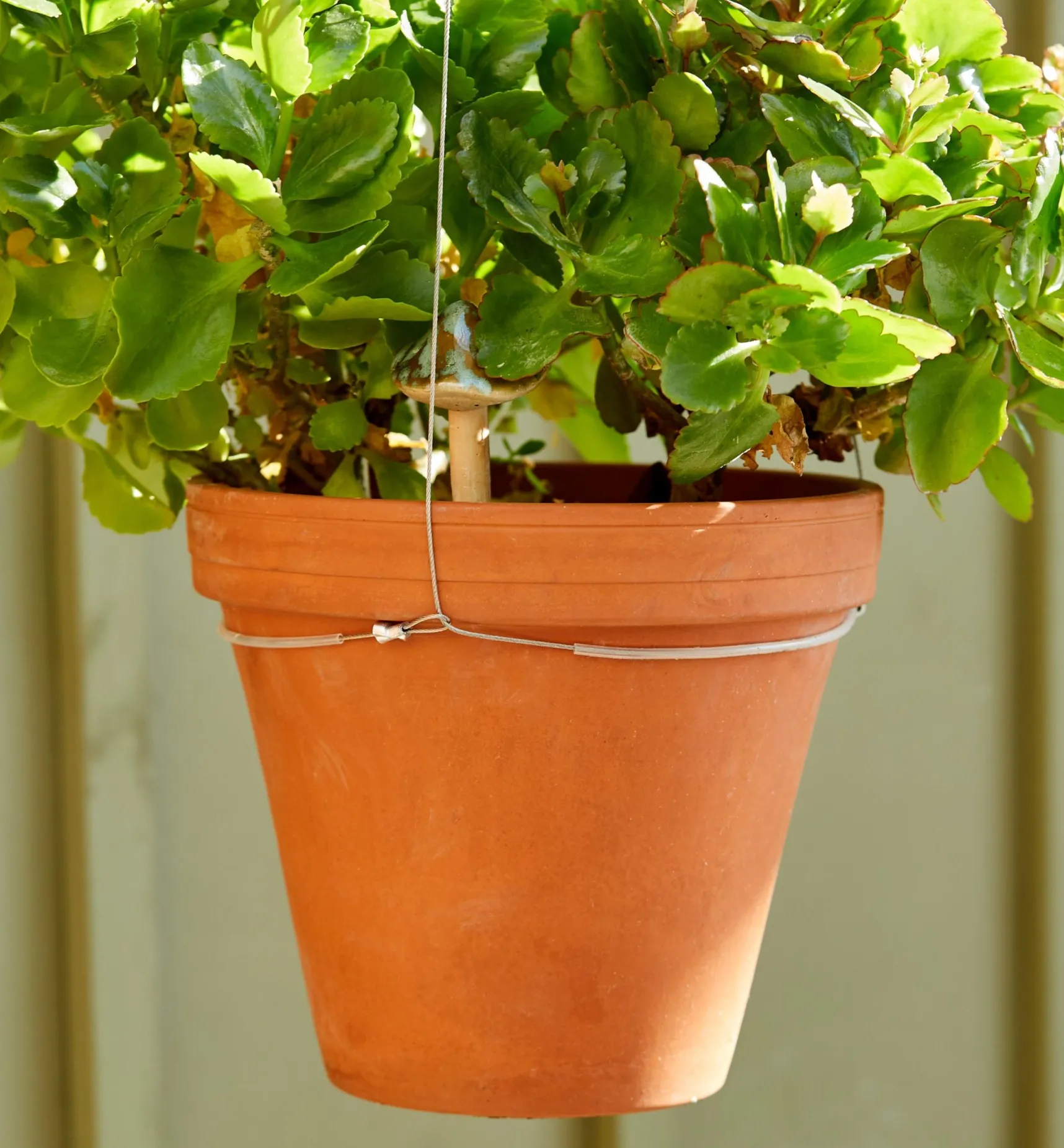 Stainless-Steel Adjustable Pot Hanger Container Gardening