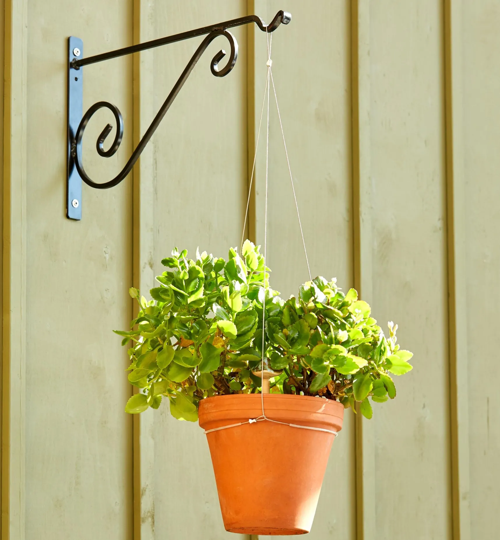 Stainless-Steel Adjustable Pot Hanger Container Gardening