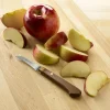 Sale Stainless-Steel Paring Knife Knives & Cutlery